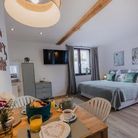 Mainterrasse Boardinghouse Am Fluss Klimatisierte Apartments Mit 80Qm Terrasse Miltenberg Esterno foto