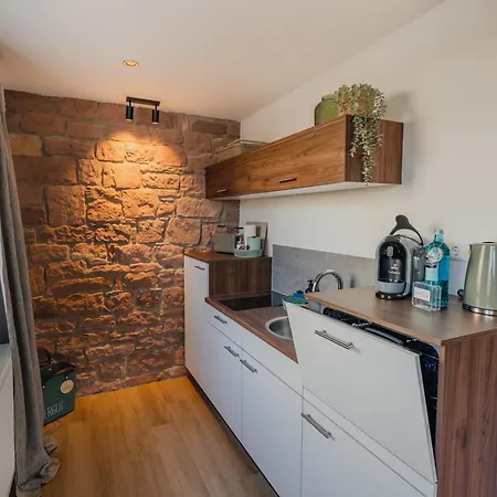 Mainterrasse Boardinghouse Am Fluss Klimatisierte Apartments Mit 80Qm Terrasse Miltenberg Esterno foto