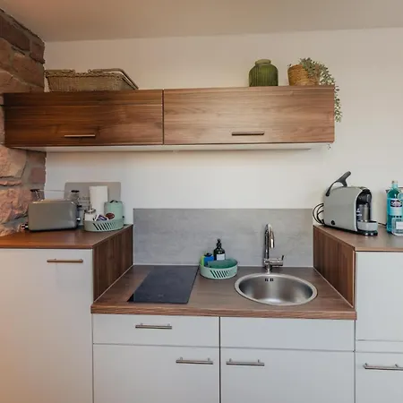 Mainterrasse Boardinghouse Am Fluss Klimatisierte Apartments Mit 80Qm Terrasse Miltenberg Esterno foto