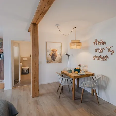 Mainterrasse Boardinghouse Am Fluss Klimatisierte Apartments Mit 80Qm Terrasse Miltenberg Esterno foto