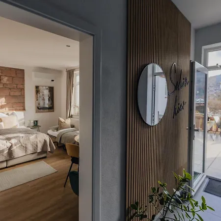 Mainterrasse Boardinghouse Am Fluss Klimatisierte Apartments Mit 80Qm Terrasse Miltenberg Esterno foto