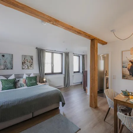 Mainterrasse Boardinghouse Am Fluss Klimatisierte Apartments Mit 80Qm Terrasse Miltenberg Esterno foto