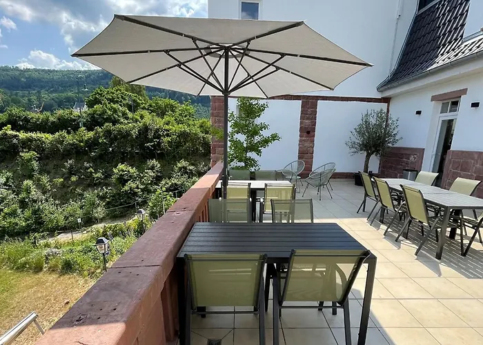 Mainterrasse Boardinghouse Am Fluss Klimatisierte Apartments Mit 80Qm Terrasse