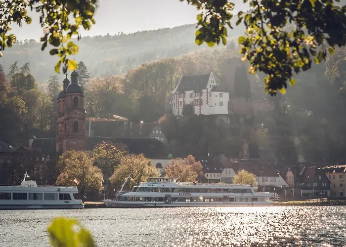 Mainterrasse Boardinghouse Am Fluss Klimatisierte Apartments Mit 80Qm Terrasse