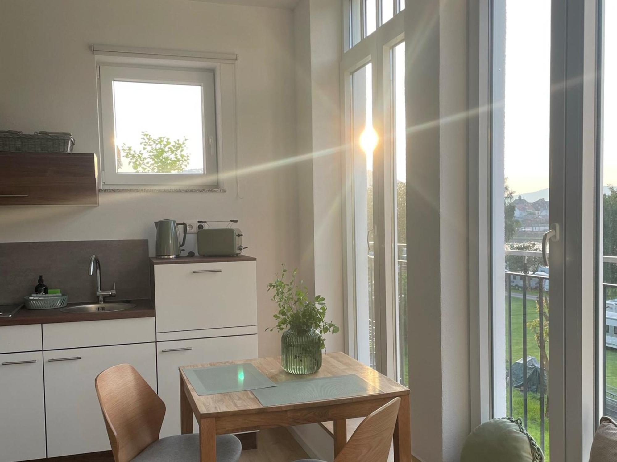 Mainterrasse Boardinghouse Am Fluss Klimatisierte Mit 80qm Terrasse * Miltenberg
